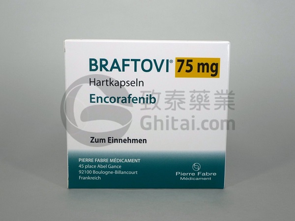 BRAFTOVI-ENG-1