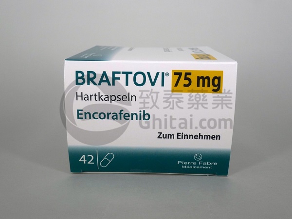 BRAFTOVI-ENG-2